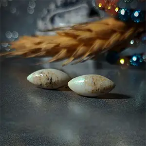 مهره مار سفید