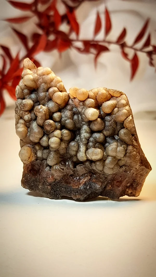 مهره سلیمانی کد101