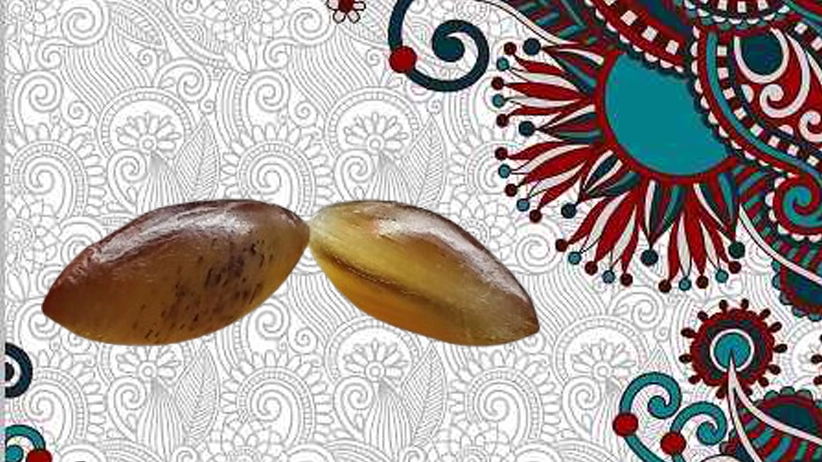نقش باور، تلاش و مهره مار در مسیر موفقیت