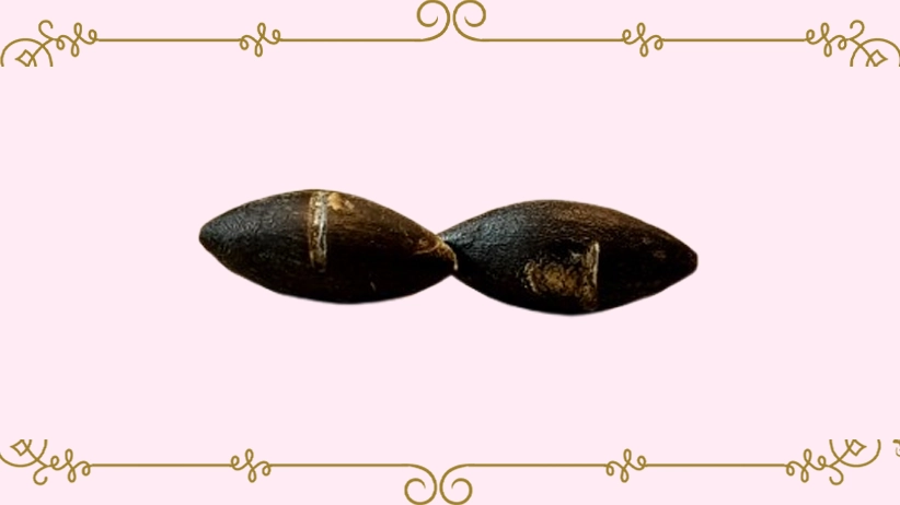 چگونه مهره مار را به‌درستی استفاده کنیم؟