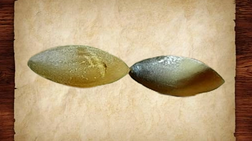 بهترین روش برای تشخیص مهره مار واقعی